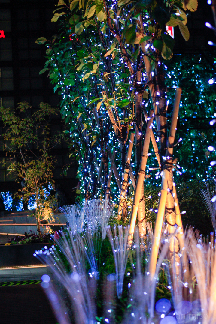 Thumb 6cacf10f 58a6 466e b02b df07be1bc4bf