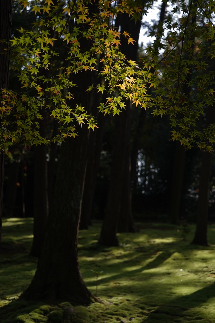 Thumb 7e7587d9 e40b 4ffe aaf7 124d74ec948b