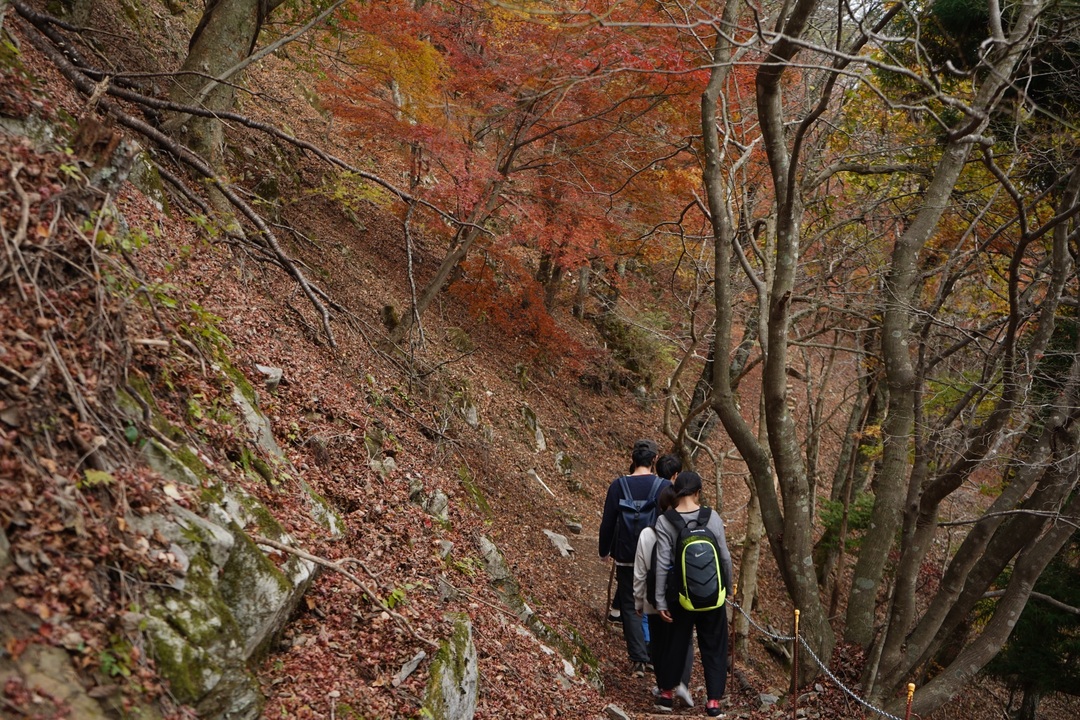 Thumb c74337ba d45a 44df 9085 c5bbdef2125f