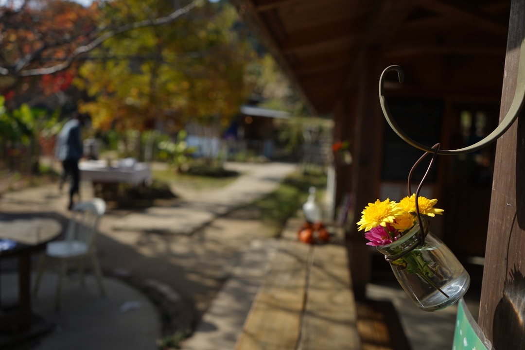 Thumb 8d42cbb0 7924 4f8b a094 f2986ce42123