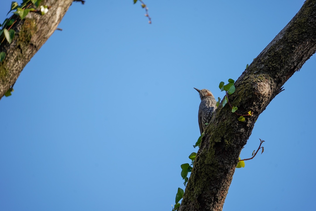 Thumb c9882683 ee34 424a b3e7 3f99090e1e08