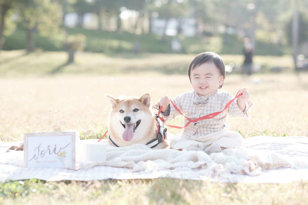 Thumb 98274c33 968f 4e45 94d8 33a1a3459ddd