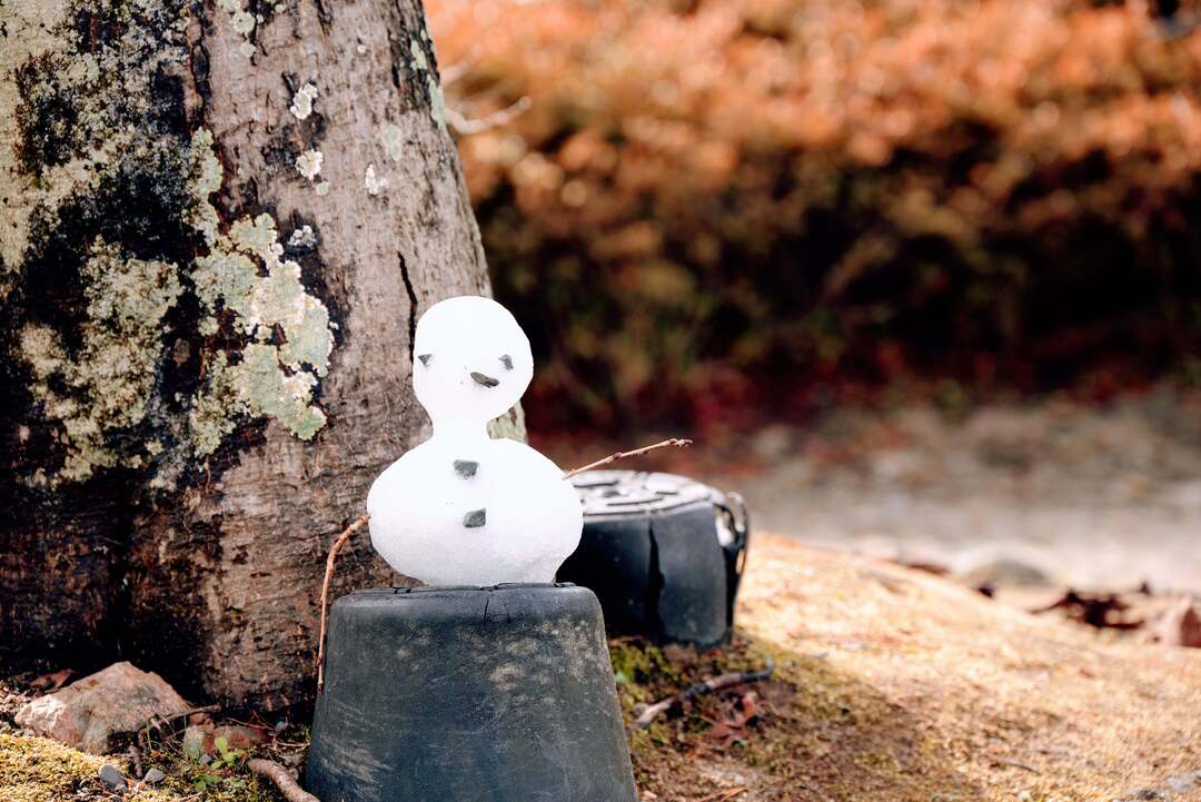 Thumb d967e8fc 964f 42e2 bc2b db8aab4709df