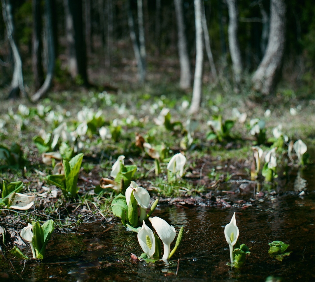 Thumb 533a2b4c 364f 4b21 a71b cdb14f3c0f27