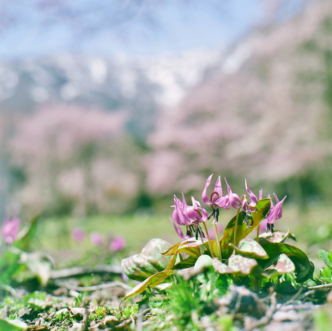 Thumb a5ed49c8 4f12 48e6 847b cb1504043545