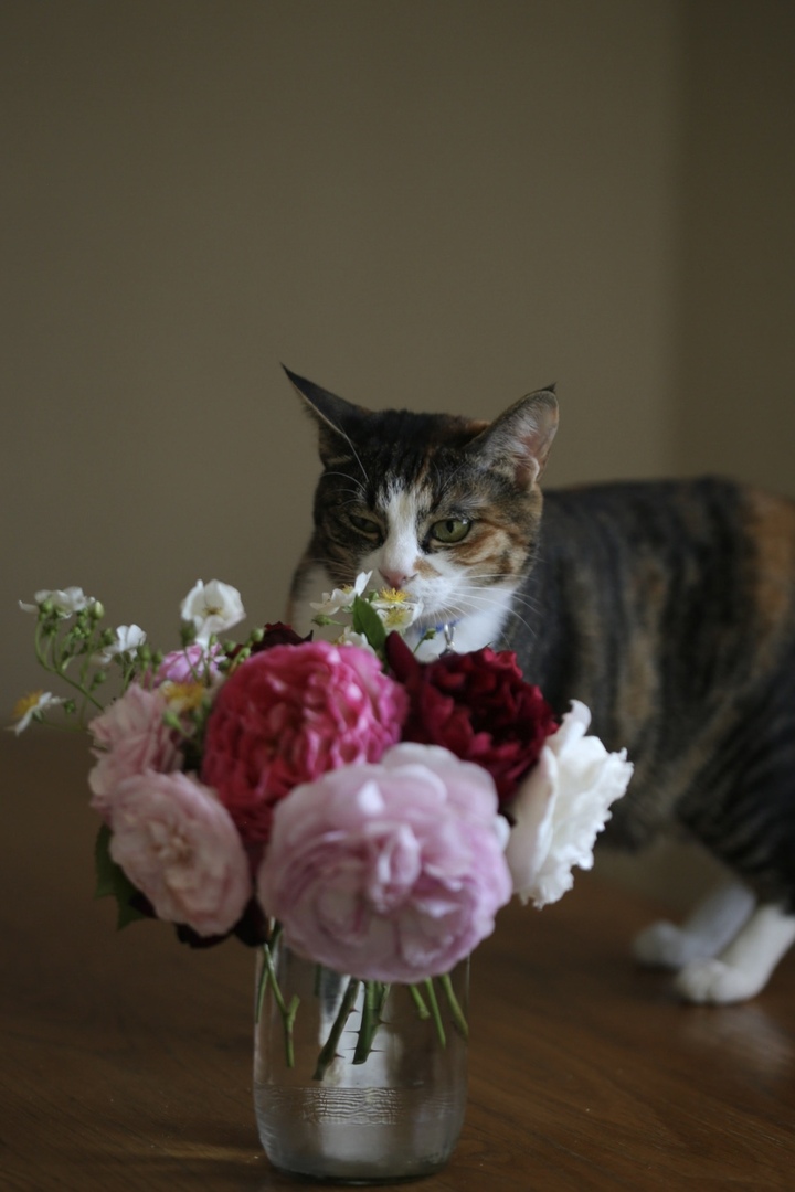 Thumb bc4a3bfd da49 4a73 b87a a7a962b98606