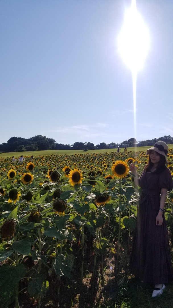 Thumb c505e1b7 4cd3 4227 a9b1 fd8ea1346759