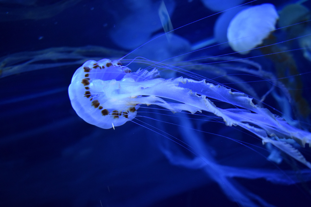 Thumb 7b1b7683 bca5 40a0 9215 853fa863072a