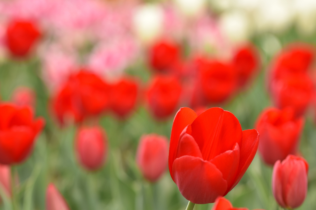 Thumb d5a7141d a5a6 481f a46f e2f7510ec649