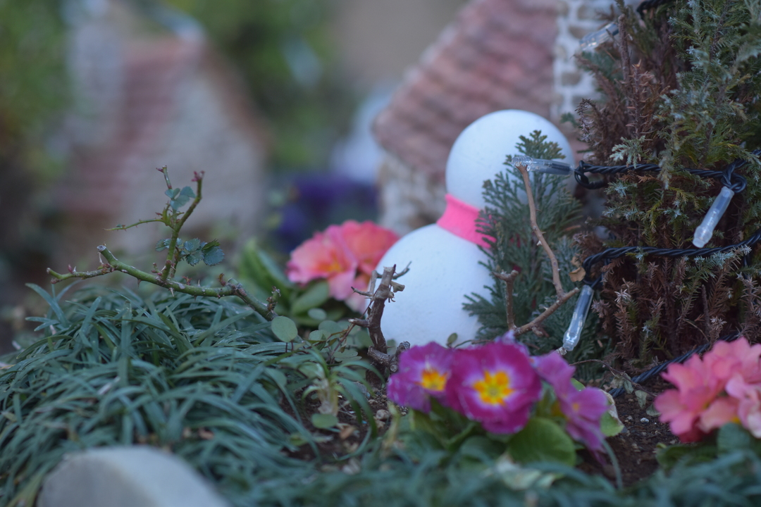 Thumb df0cc7cd 12bd 4df5 89c1 2d1af9e5b97b