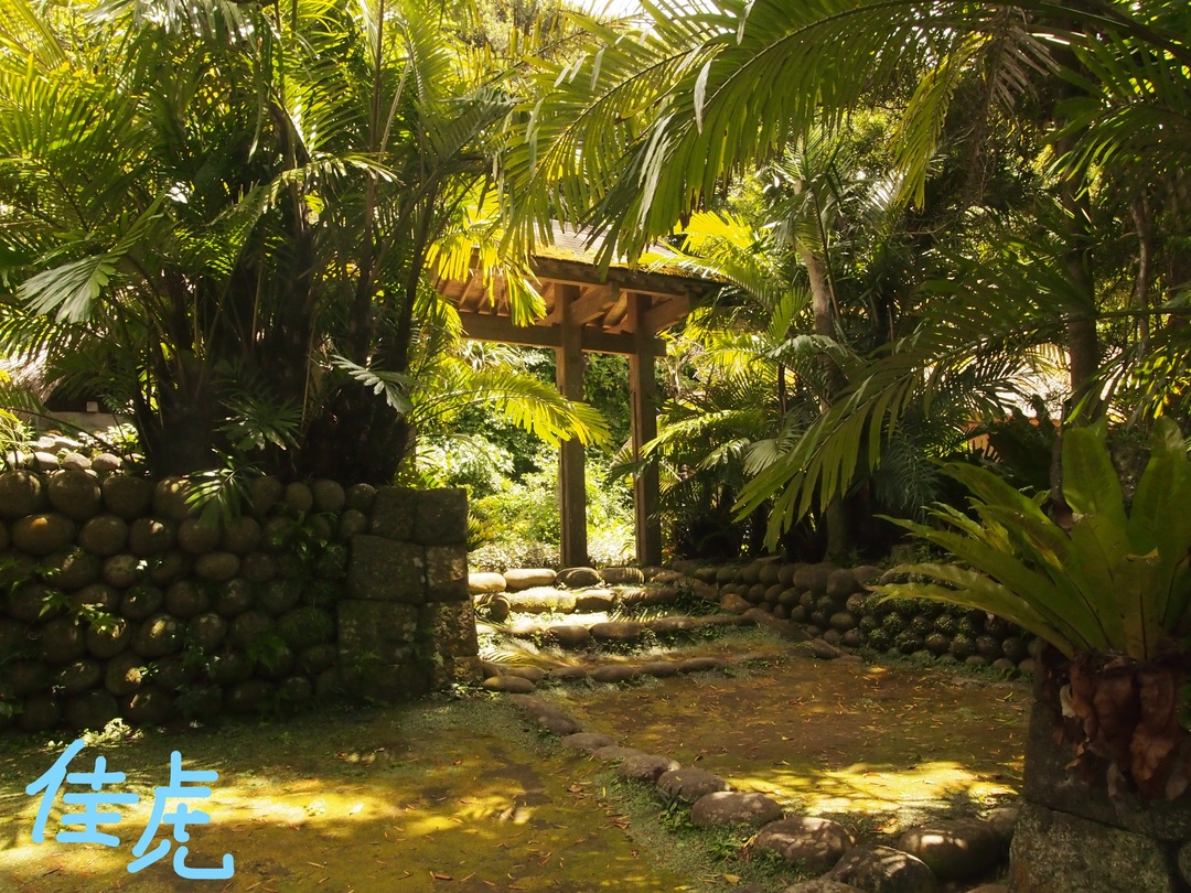 Thumb ea2f677a da0c 406c a842 4c69e6acd382