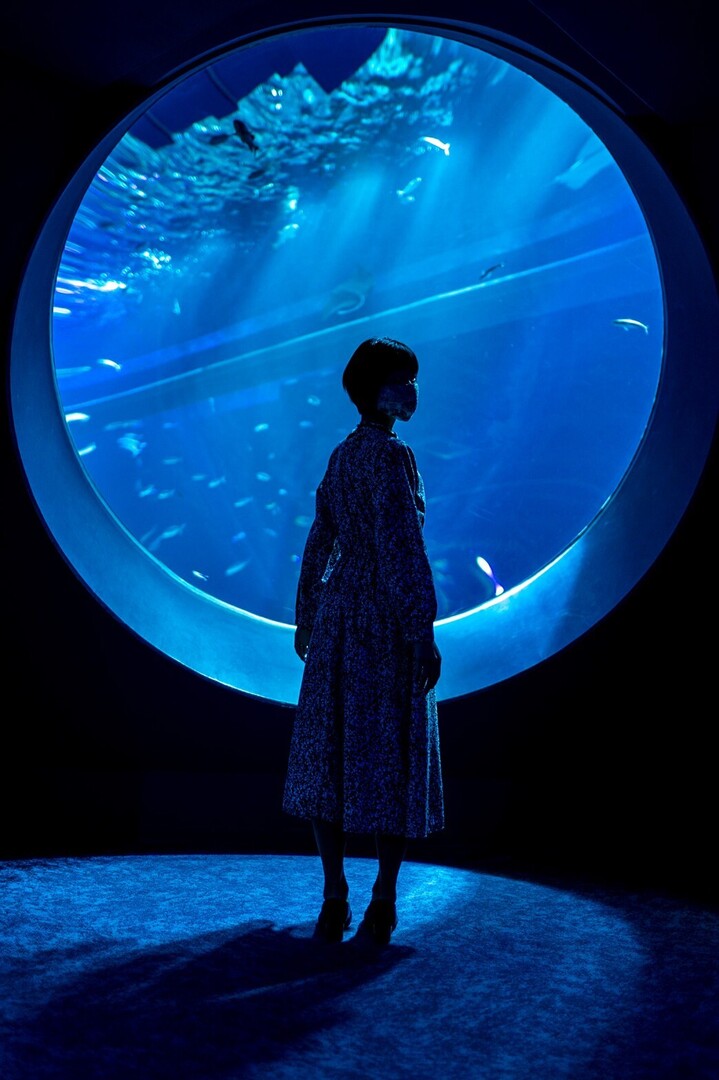 Thumb d68177d9 4923 421f 9d89 802d9822f832