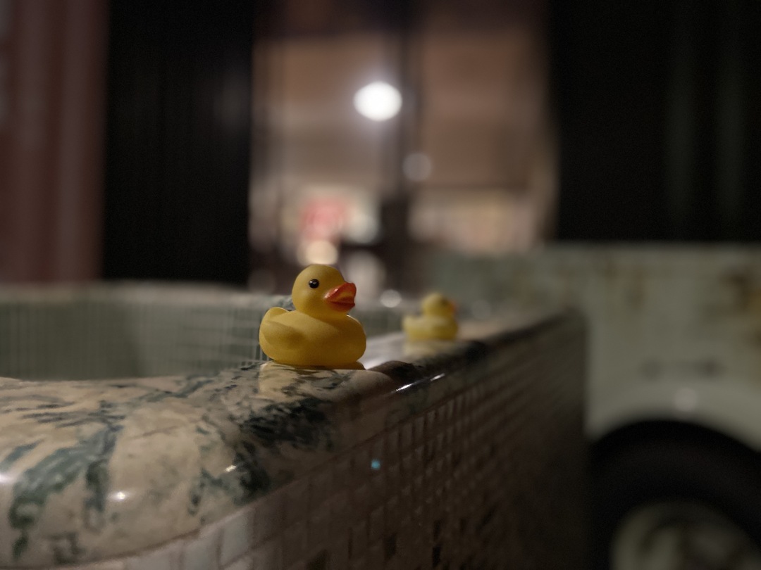 Thumb d65bfacd eff4 4e34 b651 33509b020140