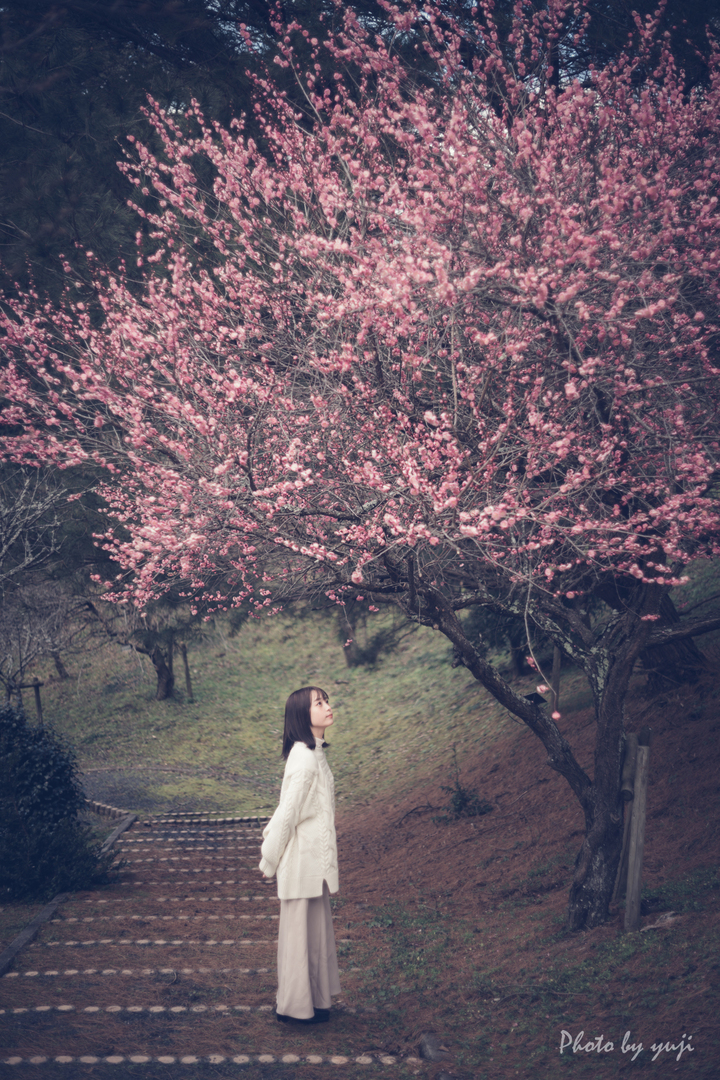 Thumb 79de58b7 0424 4fb2 8be9 d0d5aff190c8