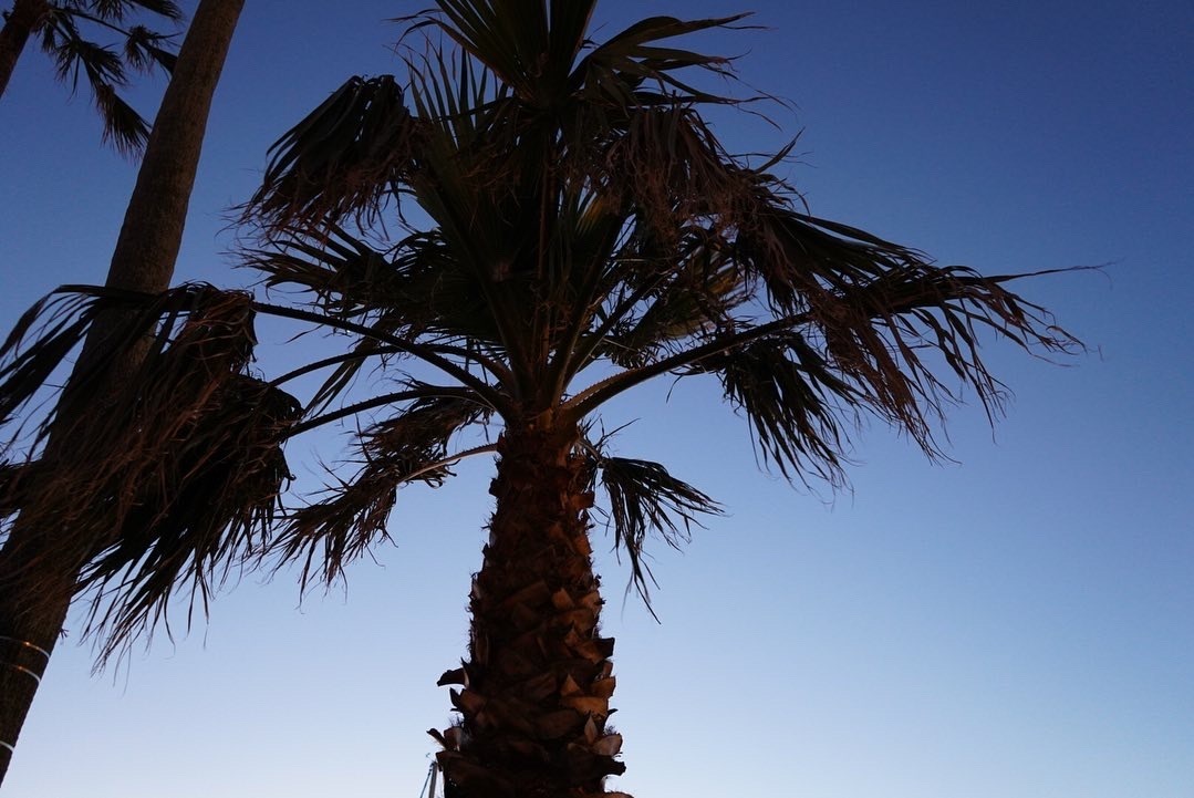 Thumb 268bf59d cd19 40e8 8d68 288e9c0fefdd