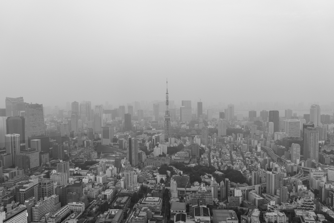 Thumb 2d6ffd98 acc9 42e1 bd4d cfe833ed0f34