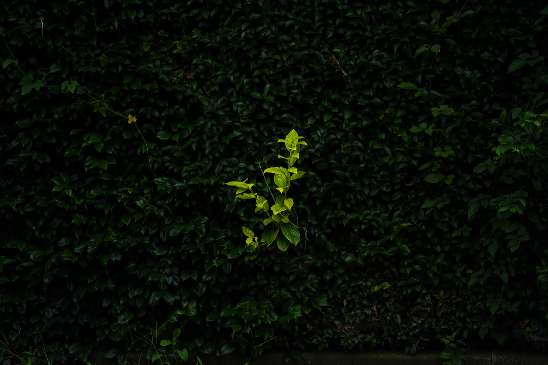 Thumb 17eb3d10 228d 44c3 b25b c4656e199ceb