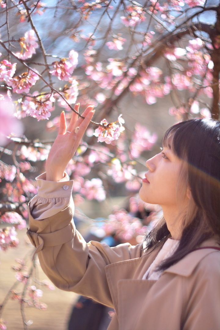 Thumb be5ce6a3 63e8 4108 b9ee fb011a06493e