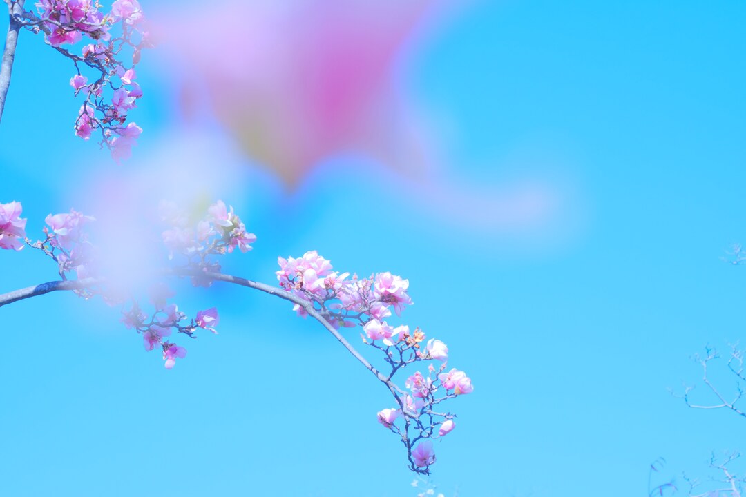 Thumb 79cf0b77 36e1 472e b5a3 bf3247ac2168