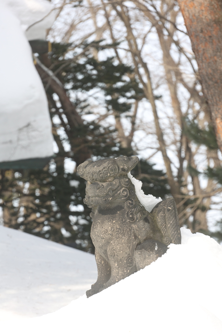 Thumb b563a039 beb0 42a4 8e6d a7c0699fbde3