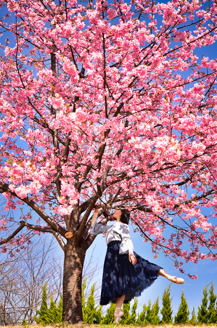 Thumb de5dee74 c087 45a3 8f14 7d956c86f1aa