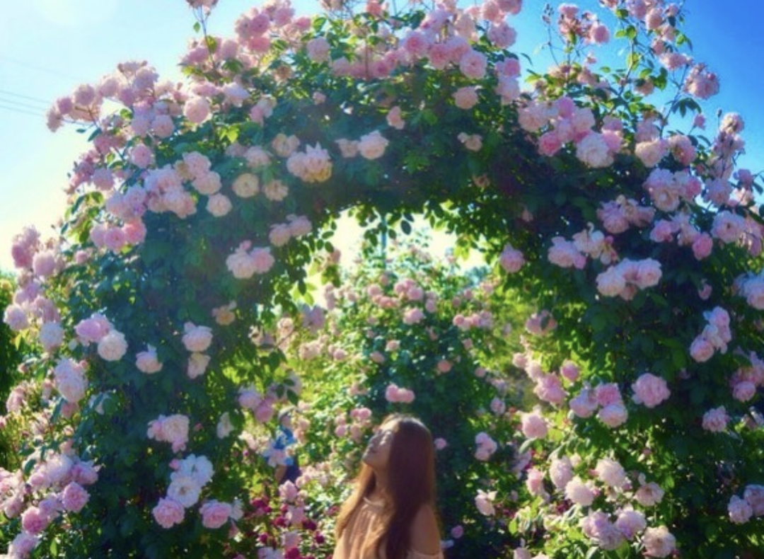 Thumb 2acfb679 de69 48cb 9513 ed37708df14a