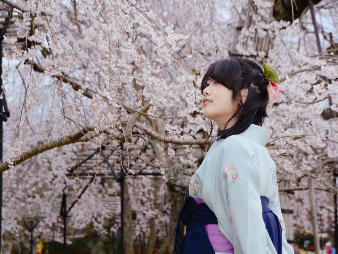 Thumb 64d7d6bb edb2 4296 a178 d84618d73dfd