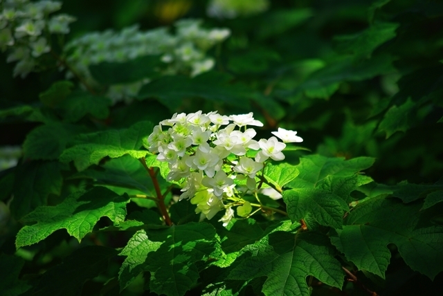 Thumb b244d9fe 7e31 4c95 a686 efd23598acdf