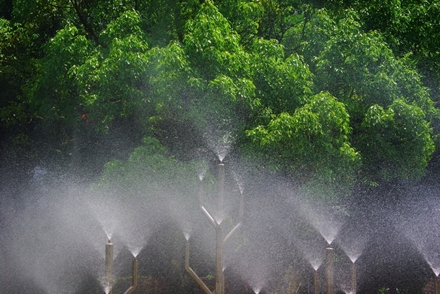 Thumb 0bb7095c 1d8a 4080 8555 62b7e955d4d6