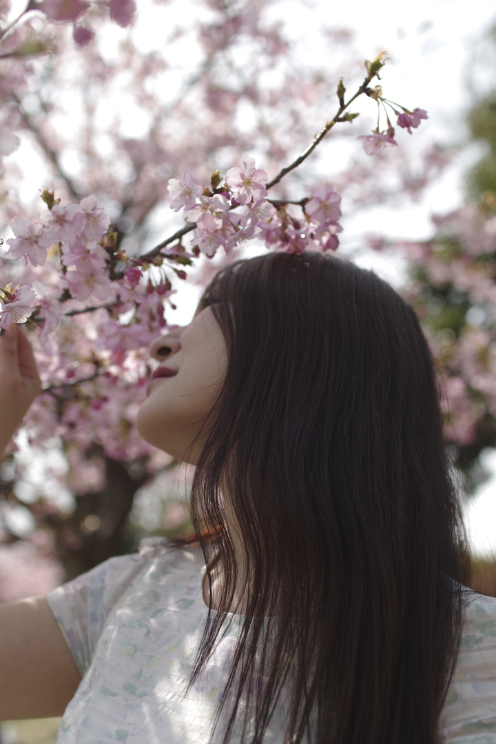 Thumb 73798ae3 521d 4ed5 94e0 1873ac2ed72f