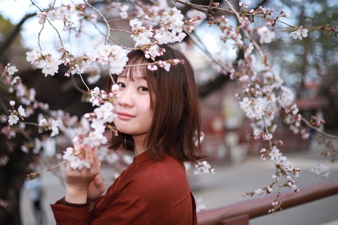 Thumb a9e52f6e 79a3 4ab3 b676 66e99488ab41