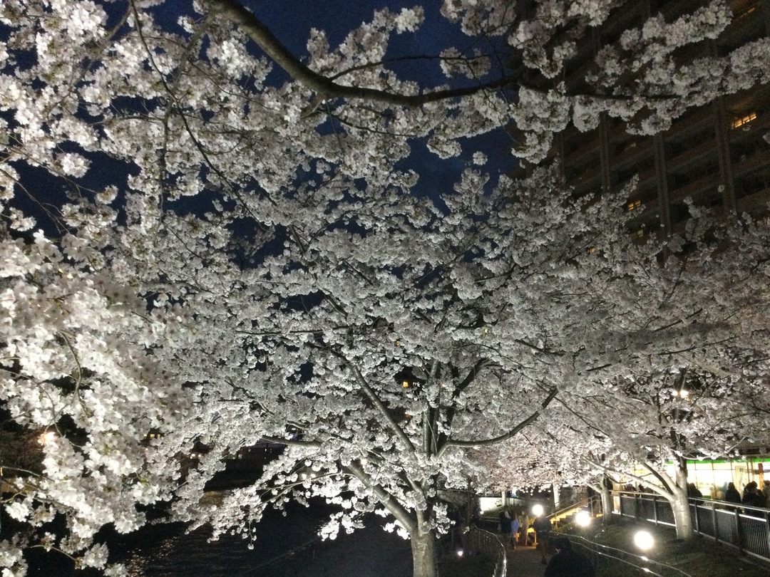 Thumb f592c45d 445d 4fb0 911d b0d170681769