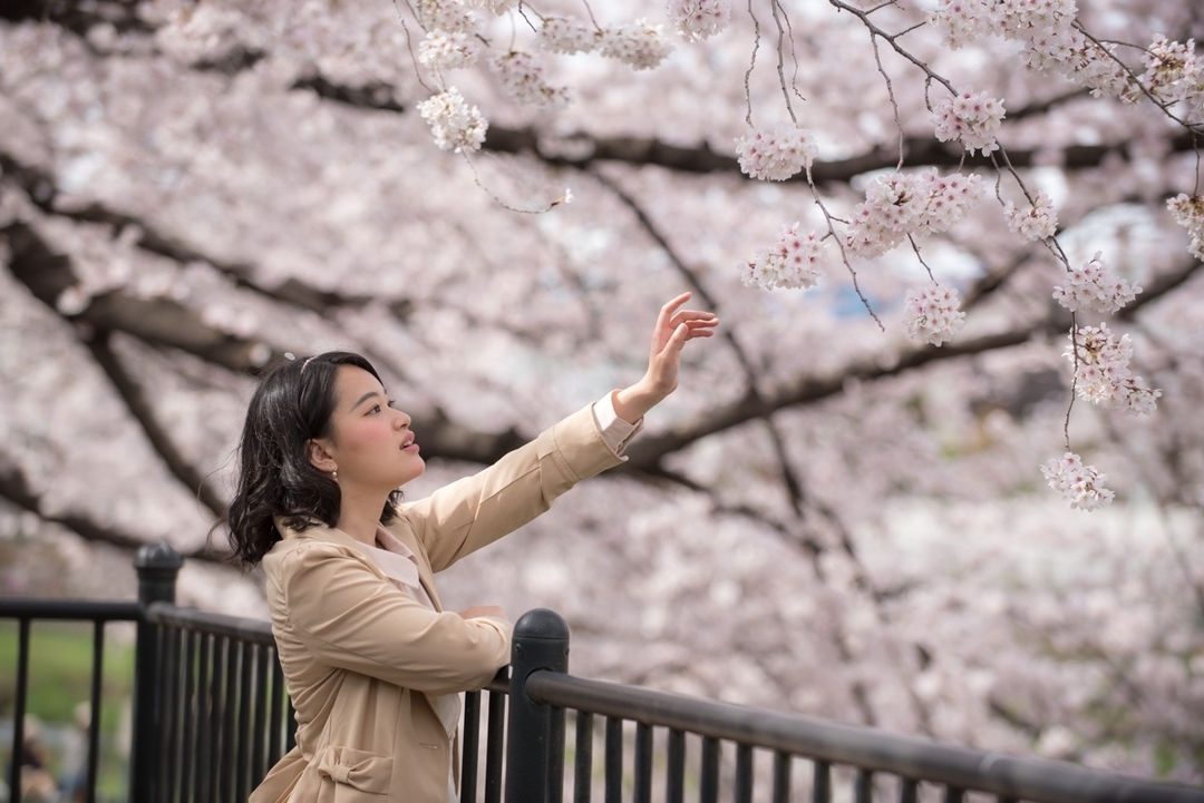 Thumb 359d005e 664d 413e bd55 36551695d88b