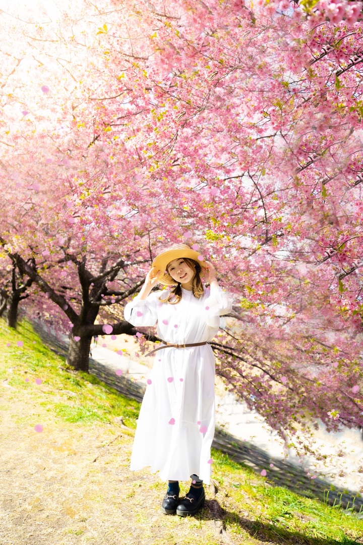 Thumb 5ecca9a7 2c79 4d50 8b91 3c5aa528eaed