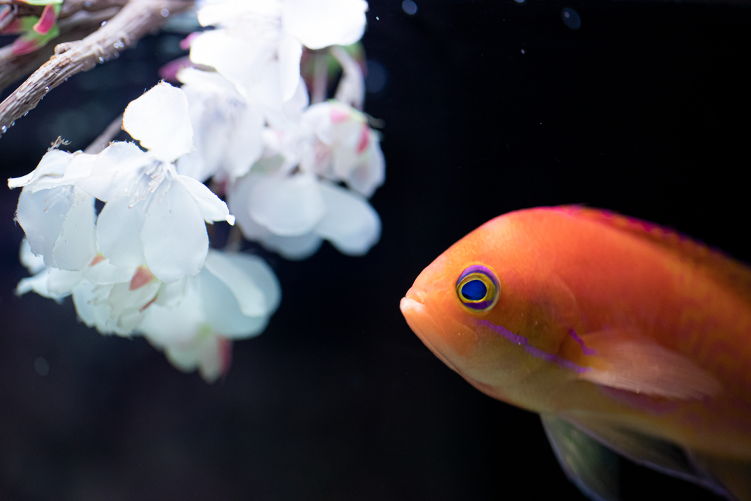 Thumb 32cc75e7 60fd 469d ab7a 9ea52989aeec