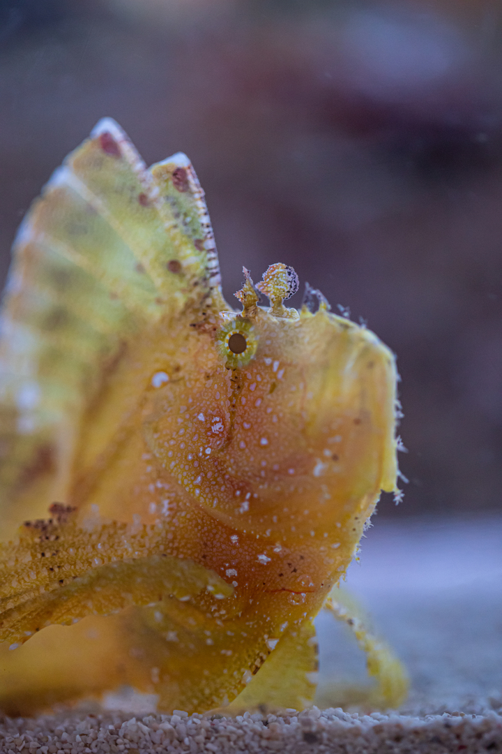 Thumb 7358e512 f264 4791 9015 8fabefa61bdf