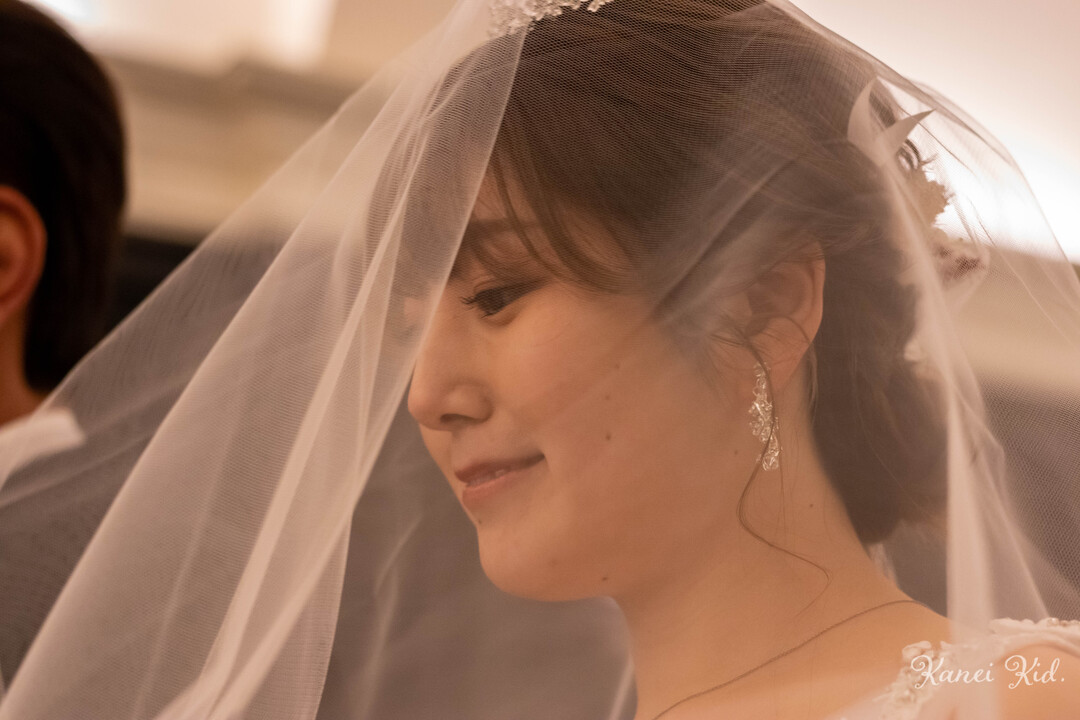 Thumb d62e799c 21d5 4b9a a4fb 83e2d0452886