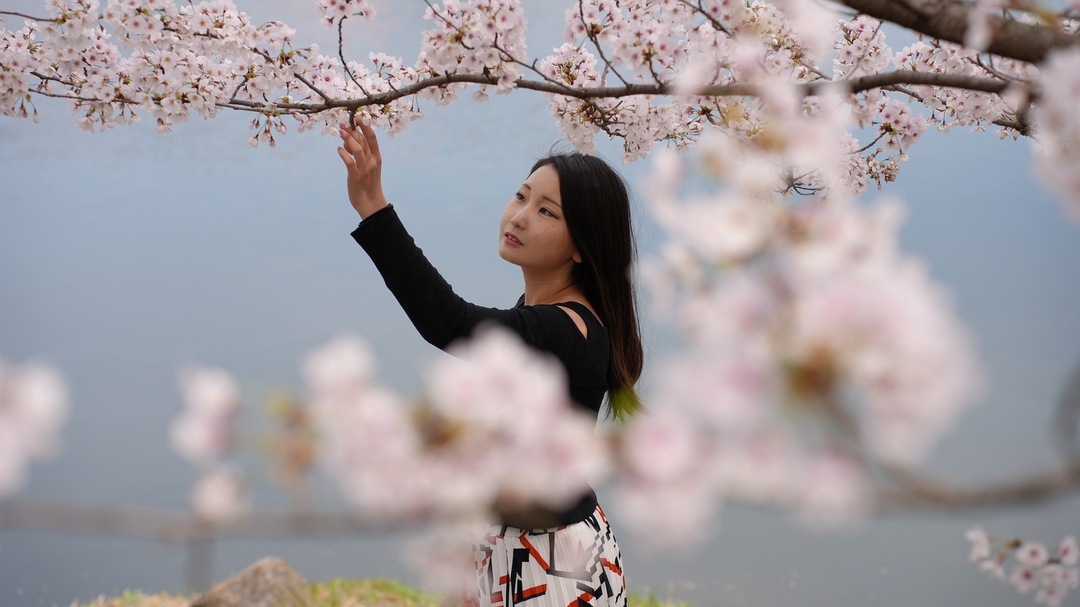 Thumb 6cd8ef40 3294 4691 b1d8 b039cb7f7c39