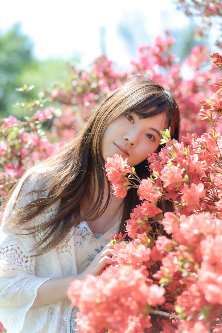 Thumb ae2ee7ac aead 4cd2 8f92 c843cb8dbe77