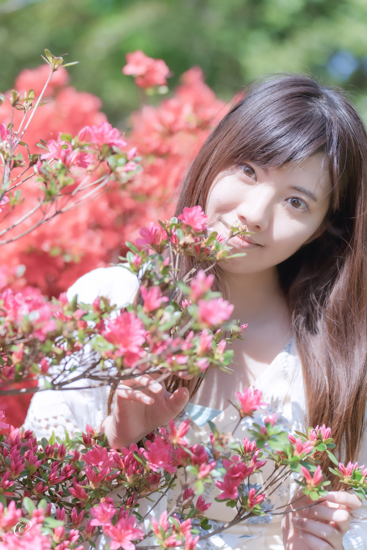 Thumb dde6d036 57ed 48e8 80d4 1302636f7d22