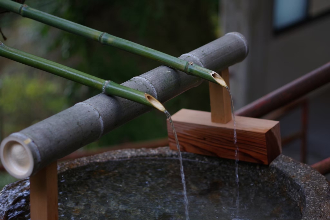 Thumb 9beb927c 6ec3 494a 8de9 ff5693d1f189