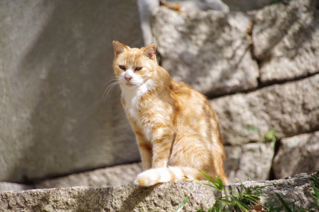 Thumb 64549934 d009 4470 b536 1f13777473d0