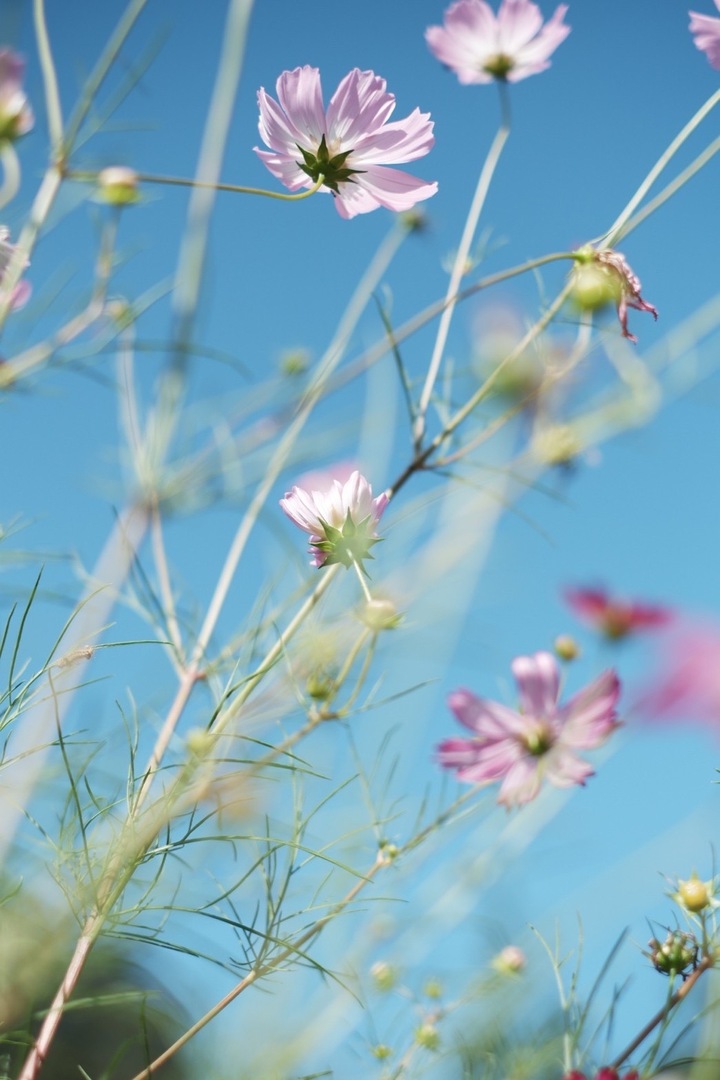 Thumb 486f13b0 f308 4ae6 8a59 5bef7728d9e1