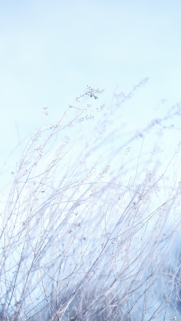 Thumb fd90ad95 8b60 4c81 9e83 6b707498d6da