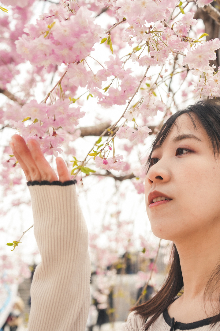 Thumb 847db537 068a 4a83 ba03 0f813e931573