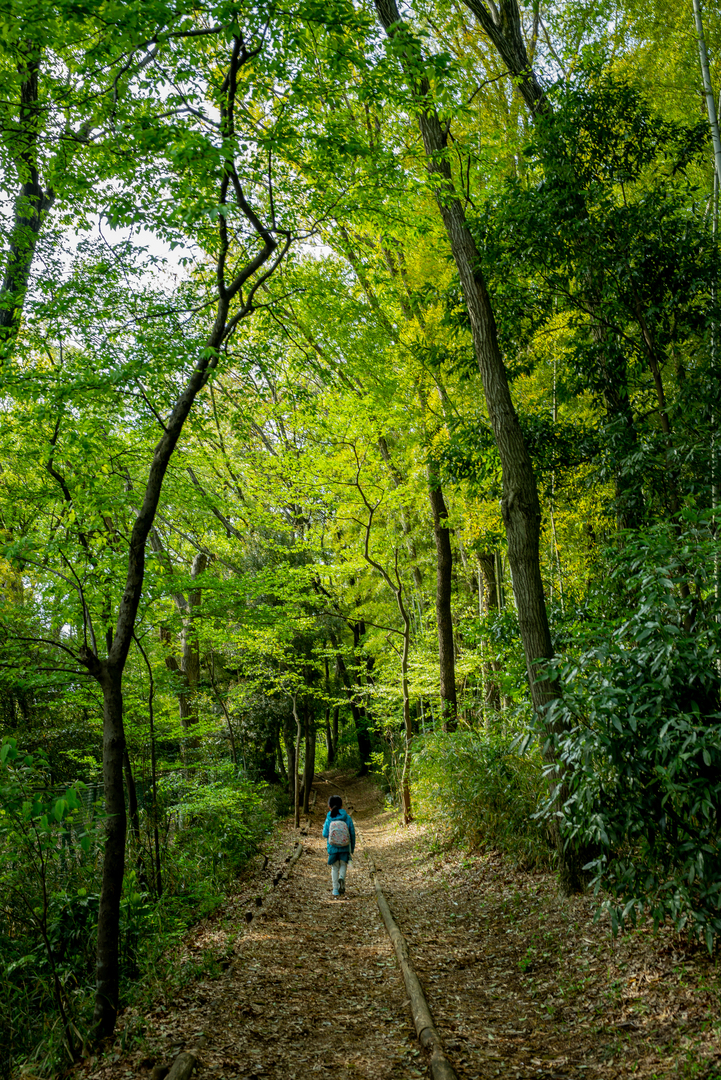 Thumb 592d3ca4 8a78 48fa ba23 6e16ef001b4b