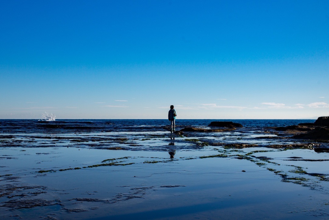 Thumb 25055fe8 bec6 45c0 95de a49520bf9597