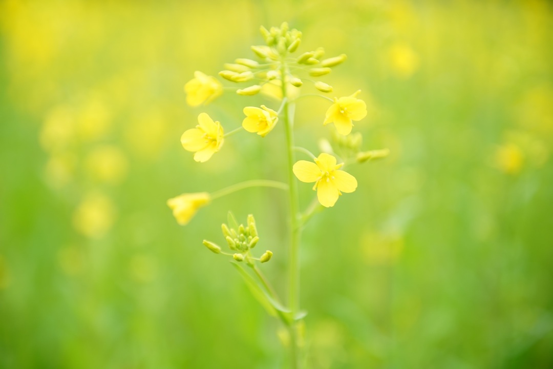 Thumb f10c5a63 3a98 4027 90a2 33f80a487f88