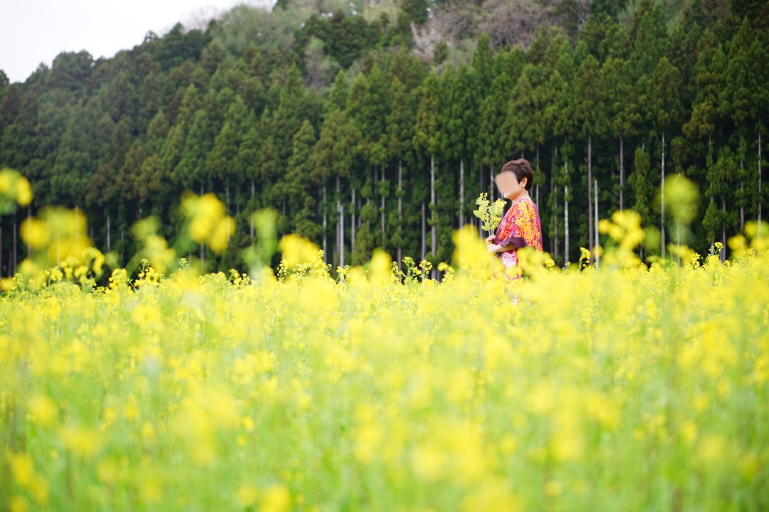 Thumb 549ef7e8 f151 480f 9fa1 1dd91086f907