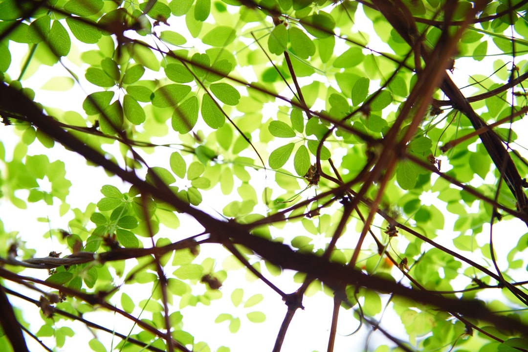 Thumb aa0d25e1 0cec 49c8 afdd fa90d98b4d62